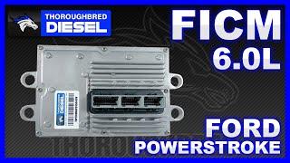 ALL NEW Thoroughbred Diesel's Ford Powerstroke 6.0L FCIM #forddiesel #diesel #powerstroke