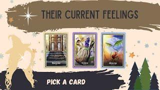 PICK A CARD: WHAT ARE THEIR CURRENT FEELINGS??