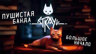 СИМУЛЯТОР КИБЕРКОТА | STRAY