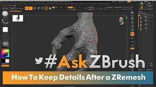 #AskZBrush - How to Maintain Sculpted Details Using Project History on a ZRemeshed Model?