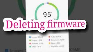 Deleting firmware