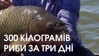 На змаганнях у Кричевичах упіймали велетенського коропа