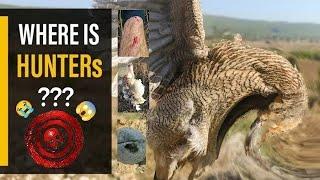 Top Partridge Teetar Hunting | Teetar Ka Shikar || PROTECT WILDLIFE || WILD360 