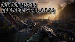 Остался месяц до релиза | stalker 2