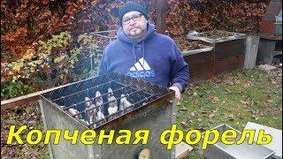 Копченая форель.Как коптить форель.Огород Баварский.