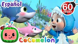 El bebe tiburoncito | CoComelon y los animales | Caricaturas para niños | Español Latino