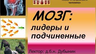 Дубынин Вячеслав - Мозг: лидеры и подчинённые