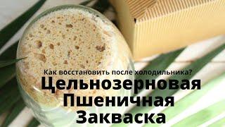 Цельнозерновая пшеничная закваска для хлеба  КАК ВОССТАНОВИТЬ ЗАКВАСКУ ПОСЛЕ ХОЛОДИЛЬНИКА