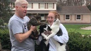 Savage Cats Attacking People - Badass Cats Moments || PETASTIC 