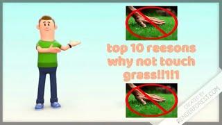 top 10 reasons why not touch grass