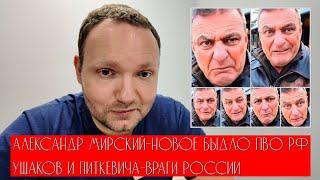 Быдло Александр Мирский - новое российское ПВО. Ушаков и Питкевича-враги россии.