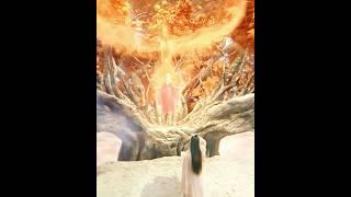I like it how the reborn of fire phoenix shake those evil immortals  #thelastimmortal