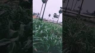 #shorts#trending#"video#viral#sarita