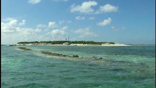 Over 2 Million Trees Planted in Islands of South China's Sansha City in 2016