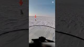 Snow Tracks Lead to the Perfect Fox Shot #viralvideo #hunthowdown #military #shorts #wildlife #snow