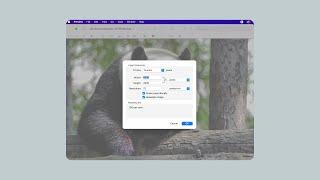 How to resize images: Resize vs. compress photos