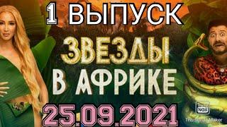 ЗВЁЗДЫ В АФРИКЕ. 1 ВЫПУСК ОТ 25.09.2021.ПРЕМЬЕРАБУЗОВА ГАЛУСТЯН!СМОТРЕТЬ НОВОСТИ.ШОУ НА ТНТ