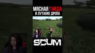 МЯСНАЯ ГНИДА И ДРОП #scum #pvp #survival #shorts #выживание #stream #scum0.95