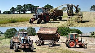 Fortschritt E 281-E, ZT 303 und Belarus MTS 82 in der Grünfutterernte