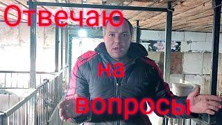 Отвечаем на вопросы по новому сараю! Во сколько же сарай нам обошелся!