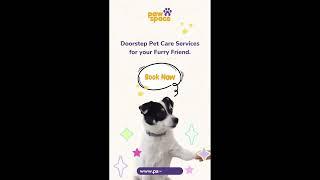PawSpace Doorstep Pet Grooming. Subscribe to our channel for grooming tips.