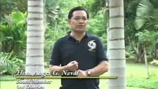 Hon. Angel G. Naval, Board Member