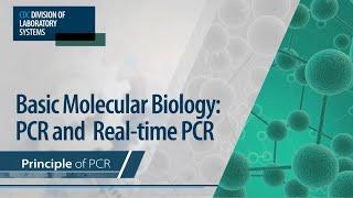 Basic Molecular Biology: PCR and Real-Time PCR – Principle of PCR