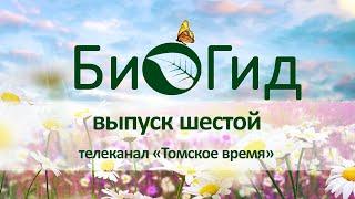 БиоГид. Выпуск шестой. В. Н. Буркова. Фитосанация и фитооптимизация.