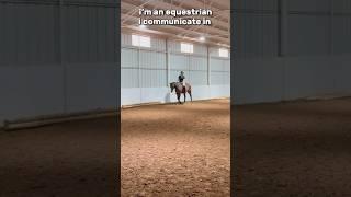 how equestrian people talk... #equestrian #equestrianjourney #pony #horse #ponyhorse #flat #life
