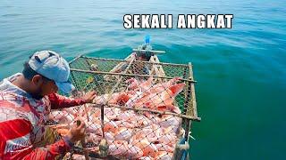 REJEKI Sekali Angkat perangkap ikan | Bubu ikan