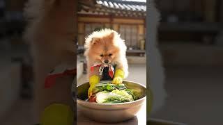 AI Puppy Two Adorable Pomeranians Make Kimchi Like Pros! ‍ #aipuppy #dogcookingshow #bbqchicken