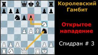 Королевский Гамбит за белых| Сила открытого нападения в действии| Спидран