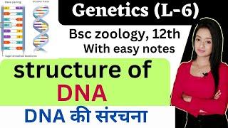 Genetics (L-6), Structure of DNA, knowledge adda, DNA chemical structure, lion batch,