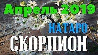 СКОРПИОН - таро прогноз апрель 2019 года НАТАРО.