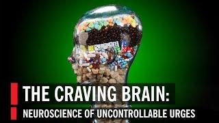 The Craving Brain: Neuroscience of Uncontrollable Urges