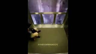 Bro took the wrong elevator 