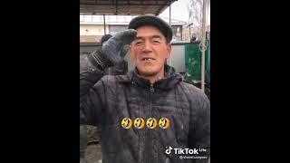 яанги пиколар