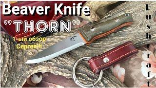 BEAVER KNIFE - THORN. Что в нём такого?! Познакомимся с БОБРОМ