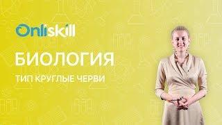 БИОЛОГИЯ 7 класс: Тип Круглые черви | Видеоурок