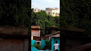 When the Terraces are like Lawns #shorts just top and viral shortfeeds terrace in kolkata,playorart