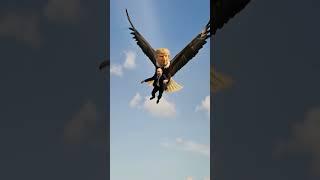 Trump Eagle on the Hunt 