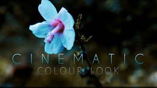 Colour Grading in Kinemaster | Cinematic Colour in Kinemaster