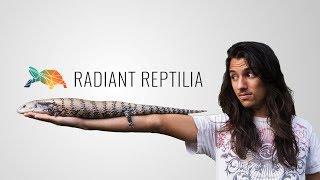 This is Radiant Reptilia