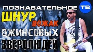 Шнур - вожак джинсовых зверолюдей (Познавательное ТВ, Елена Гоголь)