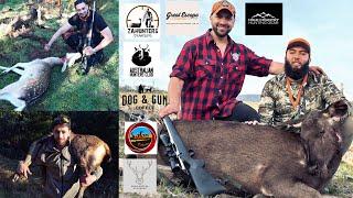 Raising the Bar: Sambar, Reds and Fallow Deer in One Hunt!!! II State Forest Australia Hunting 2024