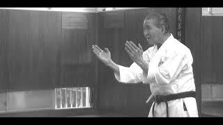 TETSUNOSUKE YASUDA 10º Dan Goju-Ryu JUNDOKAN