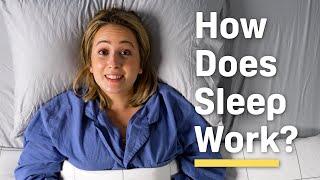 How Does Sleep Work and WHY Do We Need It?