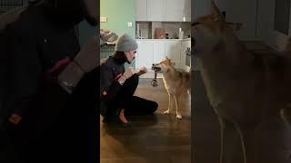 Ярик и Марти  #shorts #edisonpts