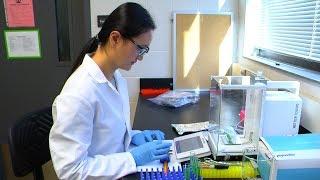 ISU lab at the forefront of biobehavioral research