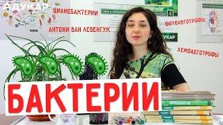 Бактерии | Биология ЦТ, ЕГЭ